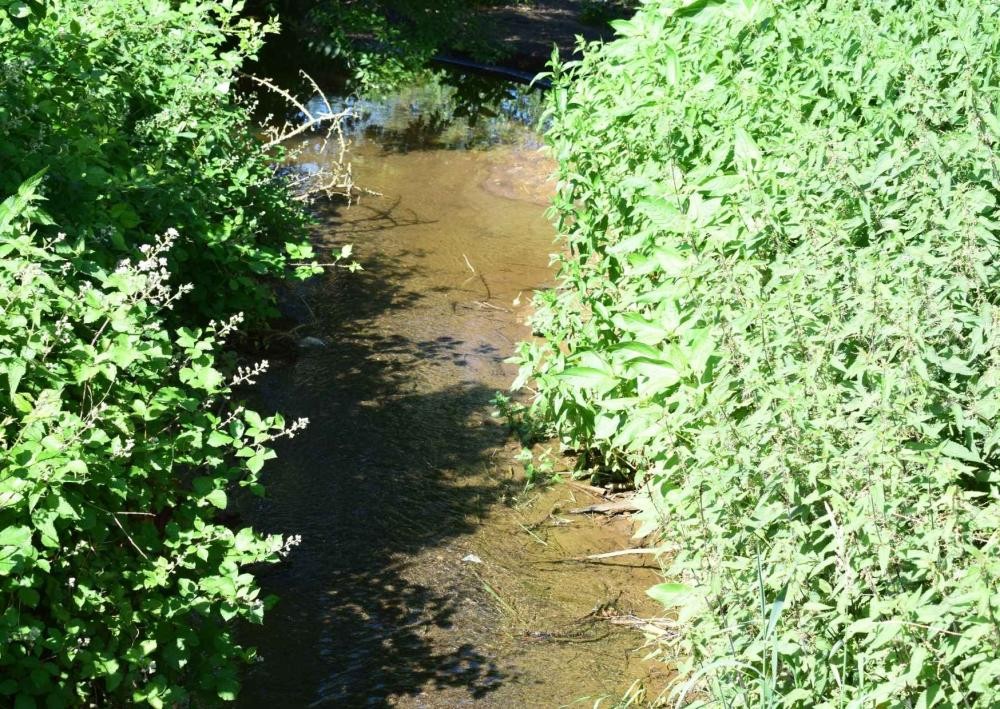 Symbolfoto: Bachlauf mit niedrigem Wasserstand