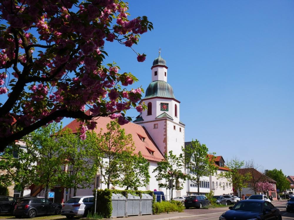 Die Stadtkirche Winnenden bei Sonnenschein fotografiert. Im Vordergrund in der linken oberen Ecke ist ein Ast eines blühenden Kirschbaums zu sehen.