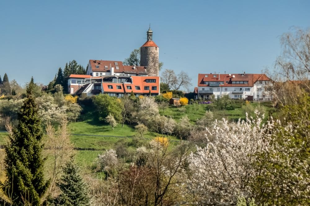 Blick auf einen Hügel mit blühenden Bäumen, darauf ein historischer runder Turm mit rotem Dach und mehrere Wohnhäuser mit roten Dächern