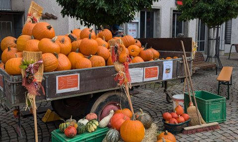 Ein Autoanhänger voller Kürbisse steht auf dem Winnender Markplatz