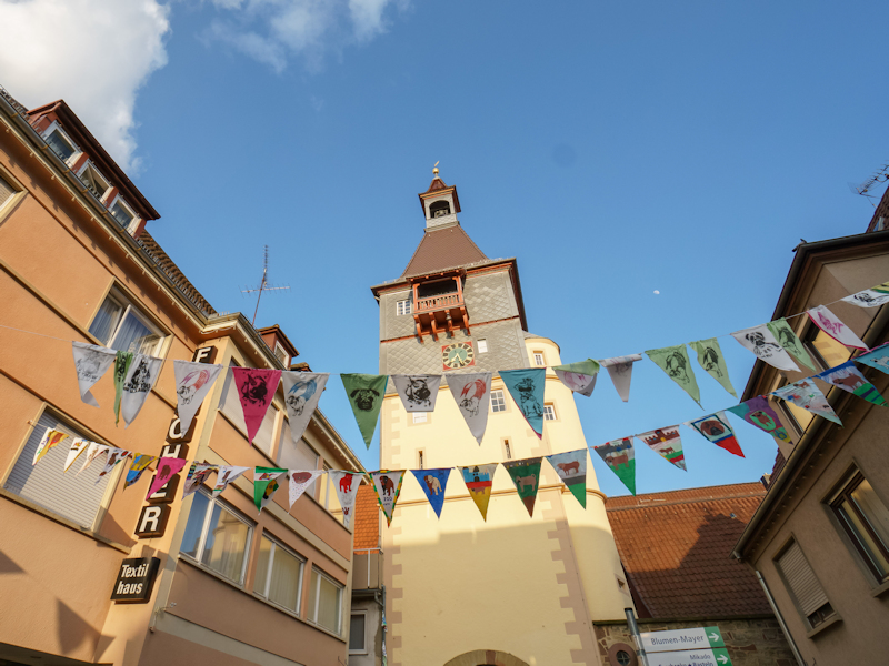 Aus der Froschperspektive ist der Totturm zu sehen. Vor ihm hängen bunte Wimpel, welche mit Motiven, wie dem Mops bemalt sind.