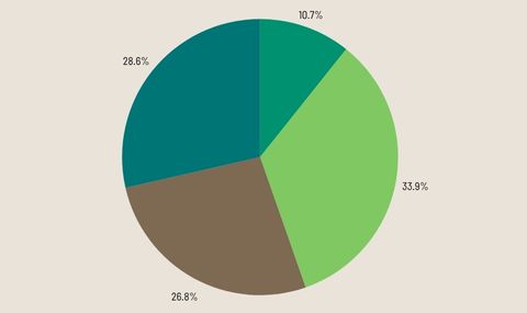 Symbolgrafik. Kreisdiagram mit vier Anteilen.