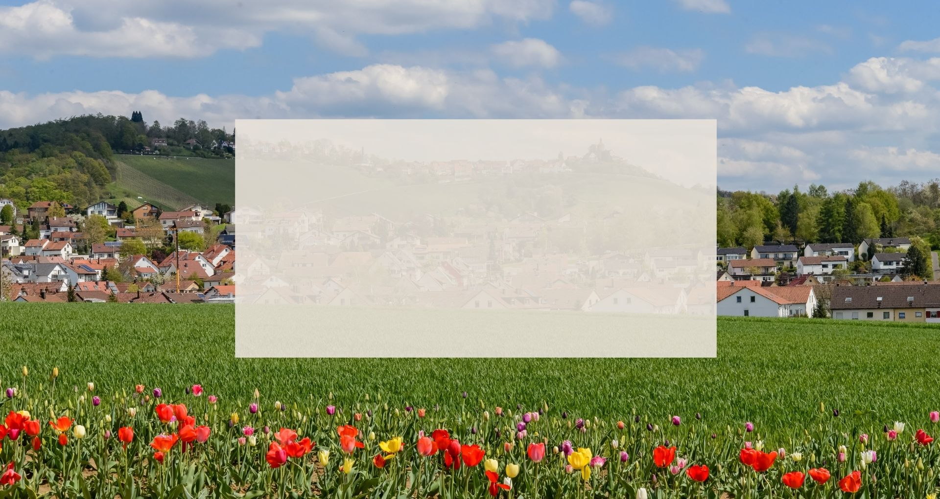 Ortsrand von Hertmannsweiler hinter einer Reihe von roten und gelben Blumen.