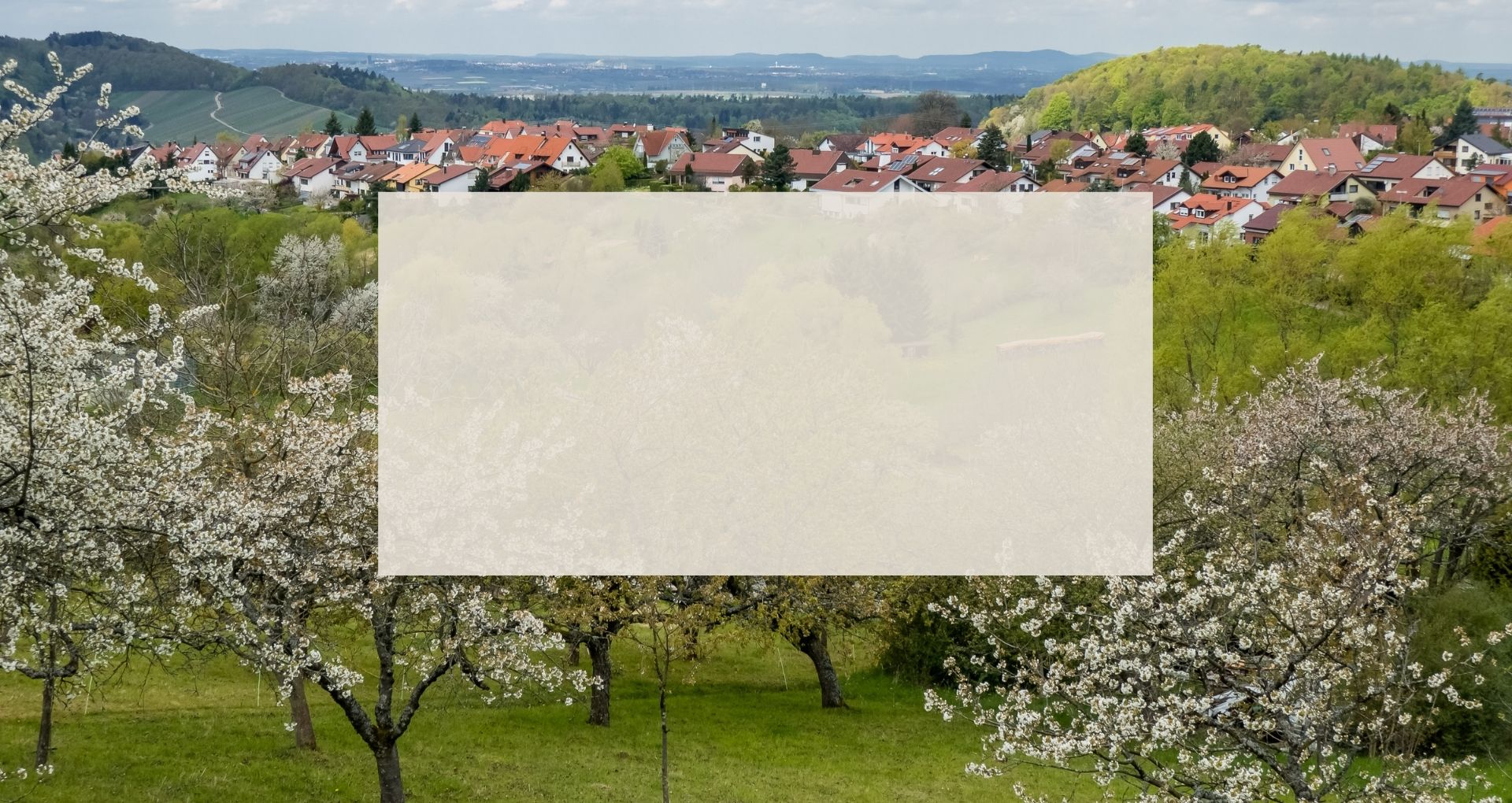 Blick auf Breuningweiler. Im Vordergrund blühende Obstbaumwiesen.