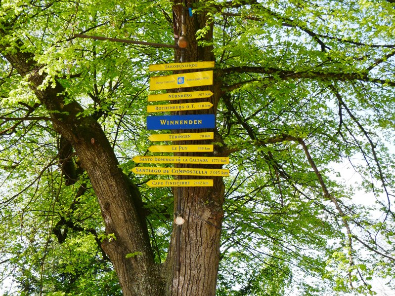 Der Jakobusaltar in der Schlosskirche zeigt zahlreiche in Holz geschnitzte Personen und Momente aus der Bibel. Er füllt die Breite des Altarraums fast voll aus und streckt sich mehrere Meter in die Höhe