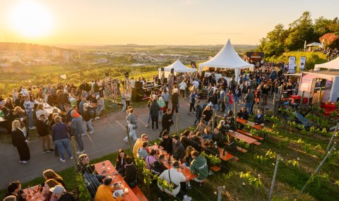 Foto aus der Vogelperskektive auf die Panorama