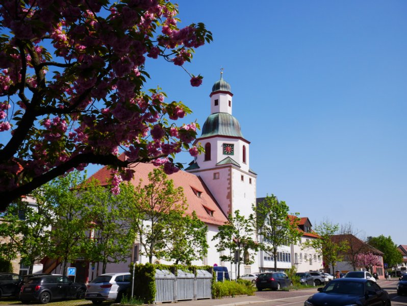 Die Stadtkirche mit dem hohen Kirchturm und der fein verzierten Uhr.