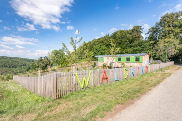 Der Waldkindergarten am Rande des Haselsteins ist mit einem Holzzaun eingerhmt. Auf diesem Stehen bunte Holzbuchstaben, die das Wort "Waldkindi" bilden.