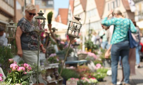 Blumen im Vordergrund. Im Hintergrund etwas verschwommen die Winnender Marktstraße